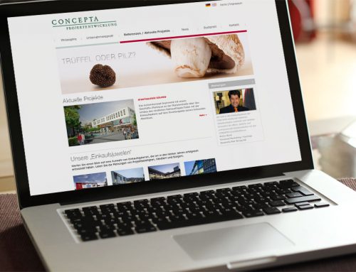 Design Website Concepta