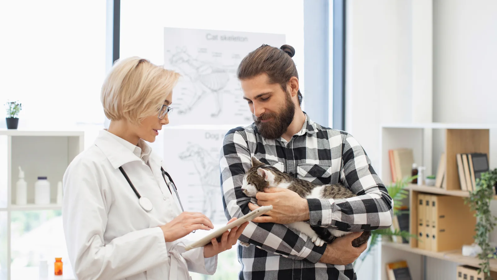 Professionelle Website für Tierarztpraxen und Tierkliniken mit Fokus auf Sichtbarkeit, Vertrauen und qualifizierte Anfragen