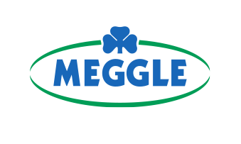 Corporate Design Logo Meggle